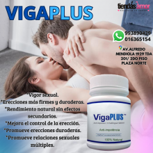 VIGA PLUS